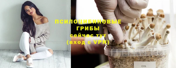 MDMA Premium VHQ Абаза