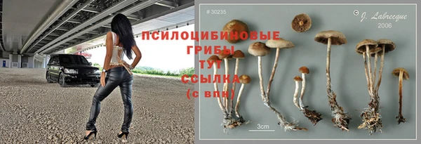 не бодяженный Абдулино