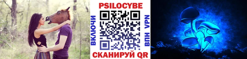 купить закладку  Орск  Псилоцибиновые грибы мухоморы 