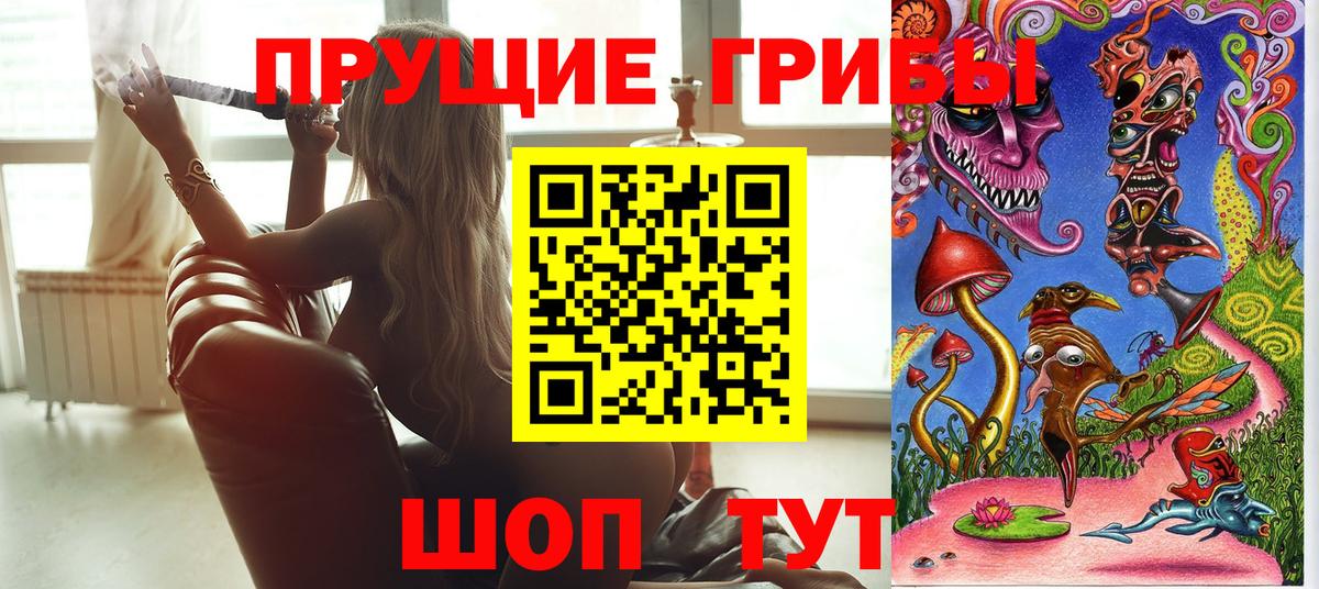 Псилоцибиновые грибы GOLDEN TEACHER  Вход с VPN  Орск 