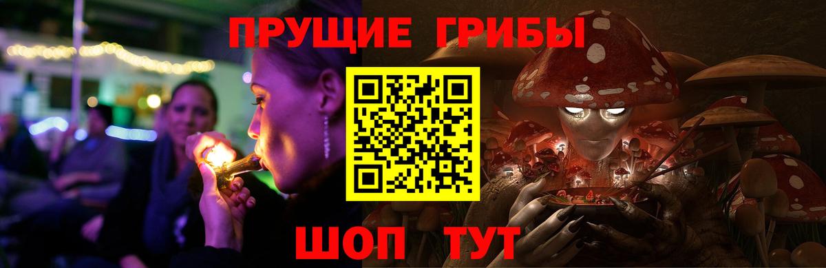 Псилоцибиновые грибы мицелий Орск